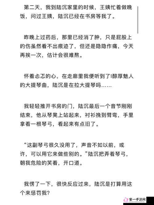 霸道总裁的极致诱惑：陆沉的私密用餐时刻